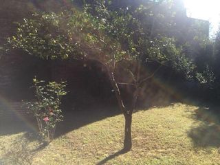 Foto 8 de VENTA DE CASA EN Lobos