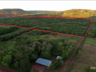 LOTE FORESTO/GANADERO EN MISIONES, 50 HECTAREAS