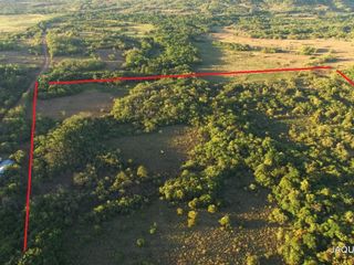 LOTE FORESTO/GANADERO EN MISIONES, 50 HECTAREAS