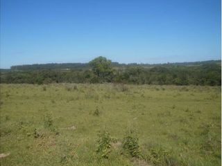 Foto 1 de VENDO CAMPO EN APOSTOLES MISIONES