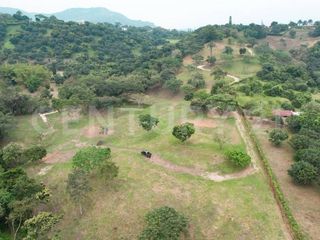 Foto 1 de VENDO ESPECTACULAR LOTE CAMPESTRE EN ANAPOIMA EL MEJOR SITIO PARA VIVIR