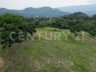 Foto 6 de VENDO ESPECTACULAR LOTE CAMPESTRE EN ANAPOIMA EL MEJOR SITIO PARA VIVIR