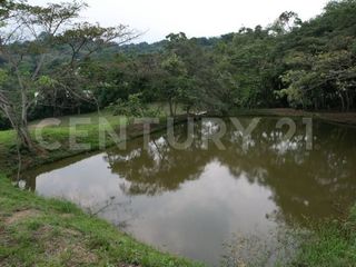 Foto 7 de VENDO ESPECTACULAR LOTE CAMPESTRE EN ANAPOIMA EL MEJOR SITIO PARA VIVIR