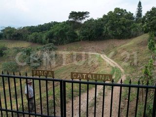 Foto 3 de VENDO ESPECTACULAR LOTE CAMPESTRE EN ANAPOIMA EL MEJOR SITIO PARA VIVIR