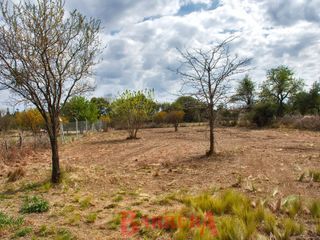Foto 8 de Lote muy amplio 2494 m2 Piedra Blanca abajo
