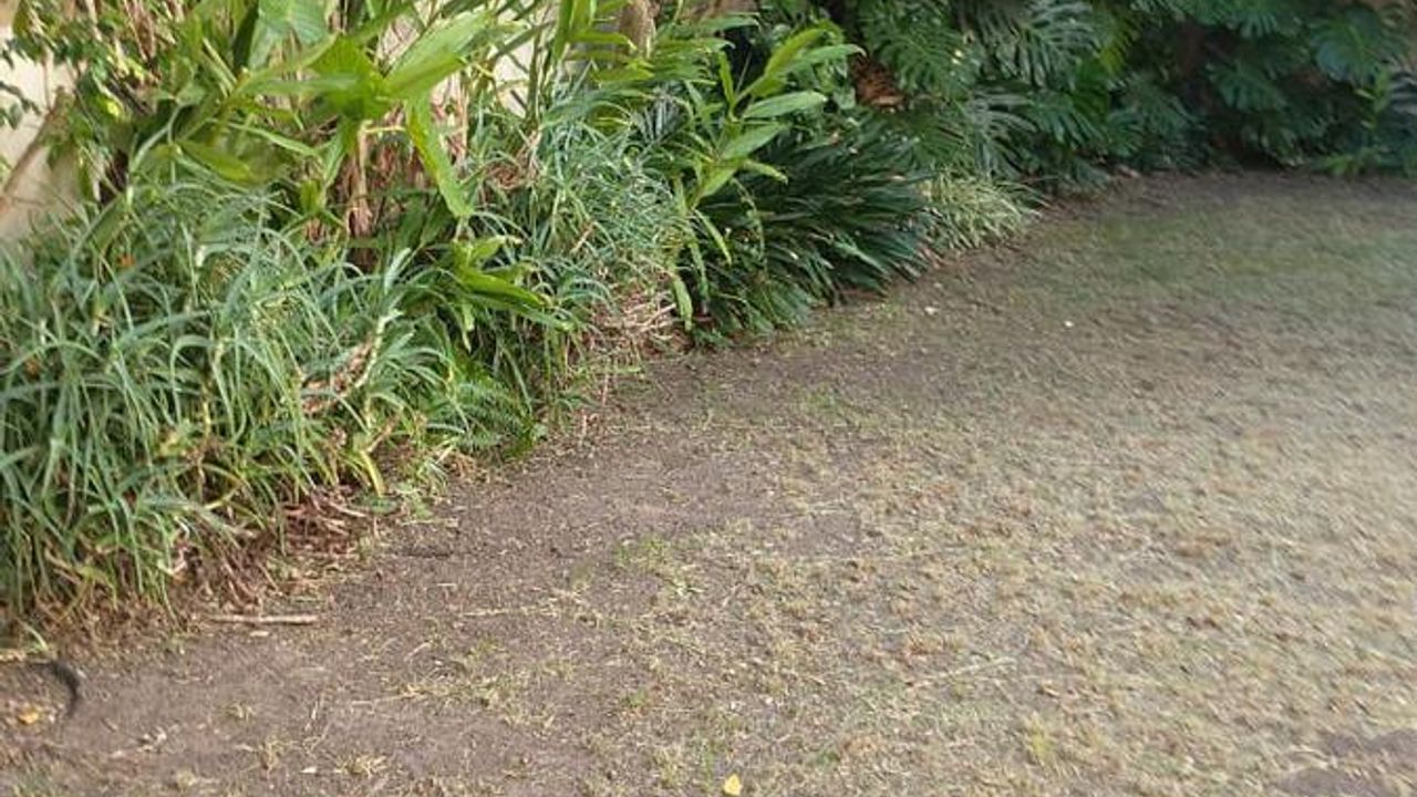place photo 28