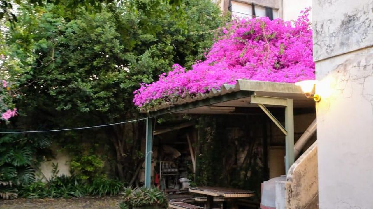 place photo 29