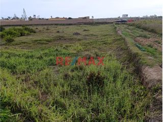 Foto 2 de 🌱 ¡Terreno Agrícola Estratégico en Moche! 🌾

📍 Ubicación Ideal: Sector San Agustín, a espaldas del centro de convenciones Náutica y muy cerca de la