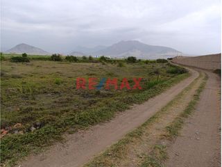 Foto 3 de 🌱 ¡Terreno Agrícola Estratégico en Moche! 🌾

📍 Ubicación Ideal: Sector San Agustín, a espaldas del centro de convenciones Náutica y muy cerca de la
