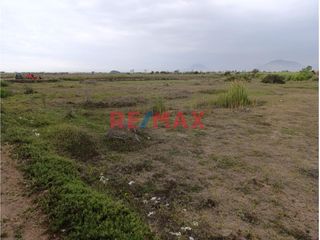 Foto 6 de 🌱 ¡Terreno Agrícola Estratégico en Moche! 🌾

📍 Ubicación Ideal: Sector San Agustín, a espaldas del centro de convenciones Náutica y muy cerca de la