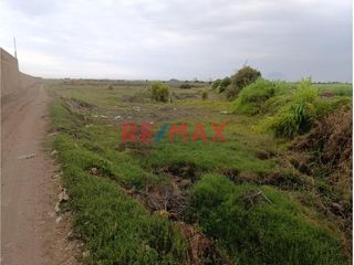 Foto 4 de 🌱 ¡Terreno Agrícola Estratégico en Moche! 🌾

📍 Ubicación Ideal: Sector San Agustín, a espaldas del centro de convenciones Náutica y muy cerca de la