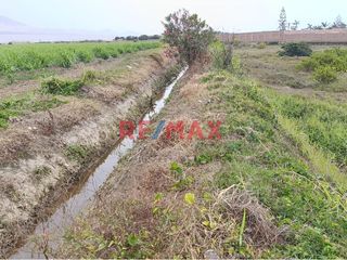 Foto 5 de 🌱 ¡Terreno Agrícola Estratégico en Moche! 🌾

📍 Ubicación Ideal: Sector San Agustín, a espaldas del centro de convenciones Náutica y muy cerca de la