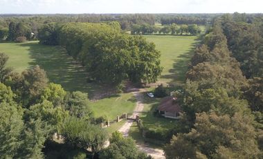 place photo 71