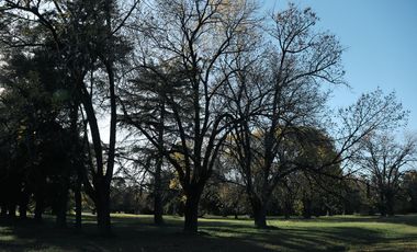 place photo 86