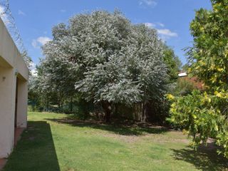 Foto 5 de VENTA DE CASA EN Juana Koslay