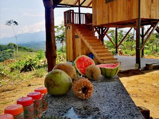Hogar Tranquilo en la Eco-Aldea “Refugio de Frutas”