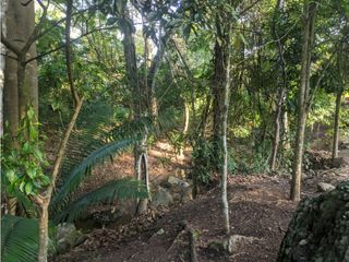 Foto 17 de Loft Villa Tucan - Privacidad en las afueras de Tarapoto