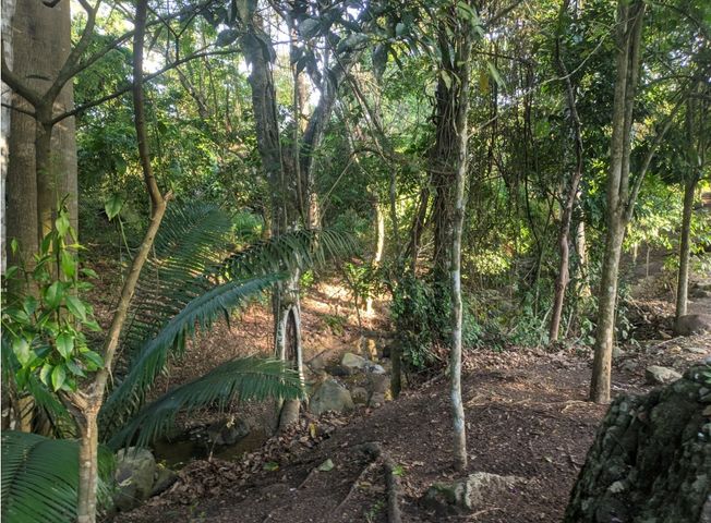 place photo 17