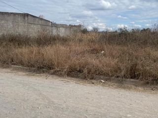 Foto 2 de TERRENO URBANIZACION SAN CARLOS