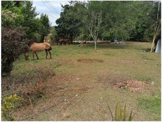 SE VENDE FINCA EN POTRERITO, JAMUNDI. A