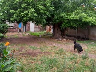 Foto 7 de Lote en venta Villa Luzuriaga