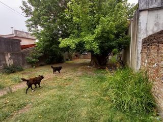 Foto 1 de Lote en venta Villa Luzuriaga