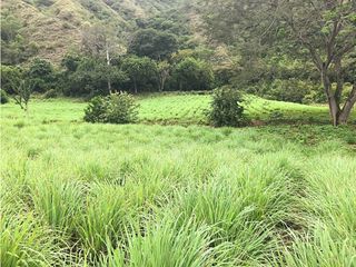 Venta Finca agroindustrial en Vereda El Tunal Santafe de Antioquia.