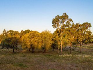 Lote en Venta Azzurra tortugas