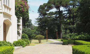 place photo 76