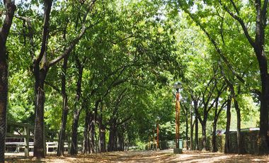 place photo 71