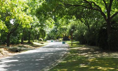 place photo 64