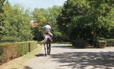 place photo 67