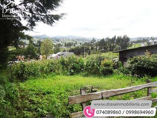 Foto 12 de Quinta de Venta – El Valle – 2000m2* de Terreno (Q-113)