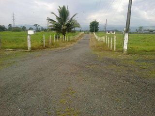 Vendo 290 hectáreas Vía Santo Domingo Quevedo