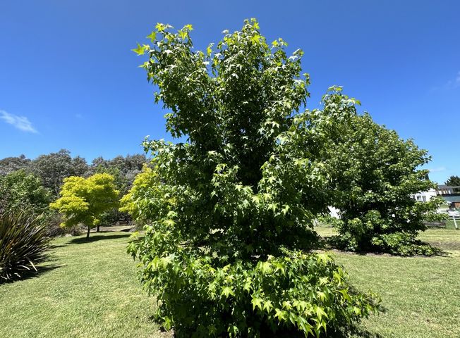 place photo 22