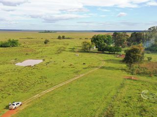 Foto 3 de Se vende Campo Forestal - Ganadero en Santo Tome Con Agua y Alto.