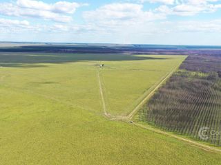 Foto 5 de Se vende Campo Forestal - Ganadero en Santo Tome Con Agua y Alto.