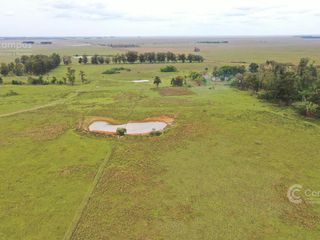 Foto 2 de Se vende Campo Forestal - Ganadero en Santo Tome Con Agua y Alto.