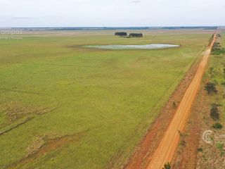 Foto 1 de Se vende Campo Forestal - Ganadero en Santo Tome Con Agua y Alto.
