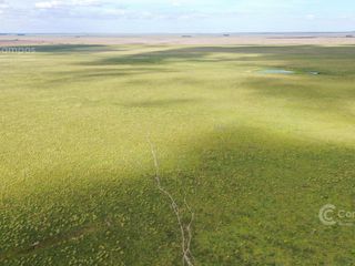 Foto 4 de Se vende Campo Forestal - Ganadero en Santo Tome Con Agua y Alto.