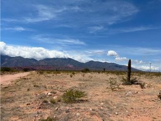 Foto 4 de VENTA TERRENO CAFAYATE