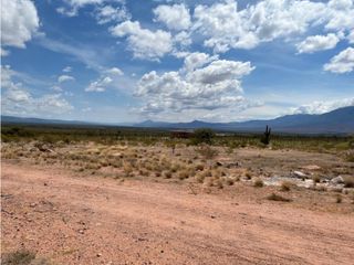 Foto 5 de VENTA TERRENO CAFAYATE