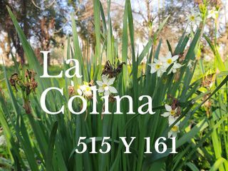 Lotes en VENTA | Sector Abierto | Barrio La Colina - 512 a 515 y 161 a 163 - Gorina Sur La  Plata
