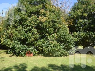 VENTA FRACCIÓN / LOTE / TERRENO EN VILLA ELISA