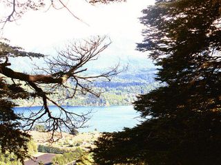 Campo en Venta - Bosque y Costa de Lago - Bariloche
