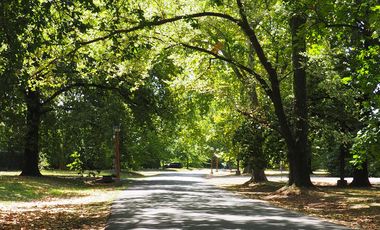 place photo 46