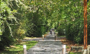 place photo 41