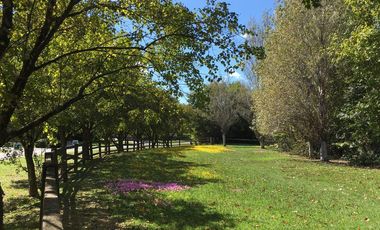 place photo 38