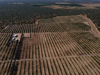 Terreno agricola en venta de 34 Has en OLMOS lambayeque