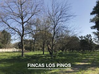 VENTA Lote 728 m2 Fincas Los Pinos - La Reja Sur